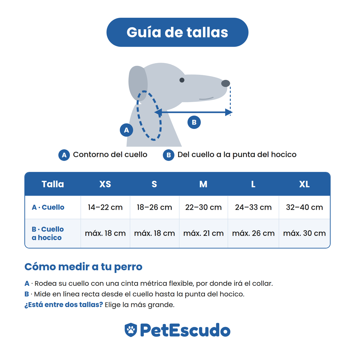 PetEscudo - Aro anti-choques para perros ciegos