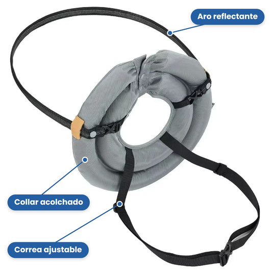 PetEscudo - Aro anti-choques para perros ciegos