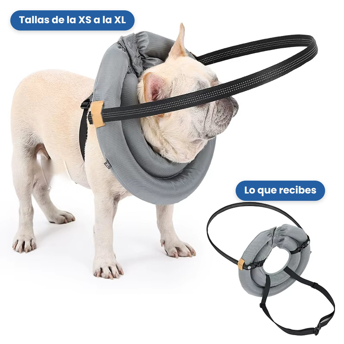 PetEscudo - Aro anti-choques para perros ciegos