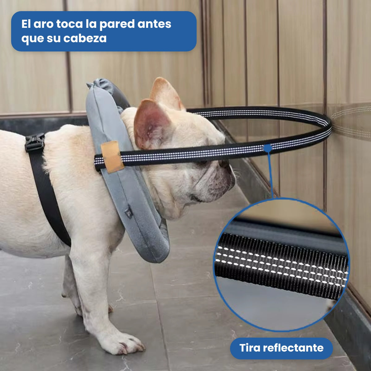 PetEscudo - Aro anti-choques para perros ciegos