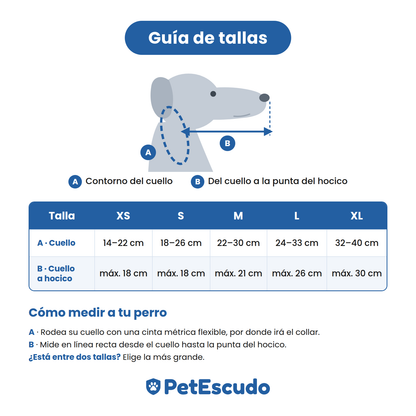 PetEscudo - Aro anti-choques para perros ciegos